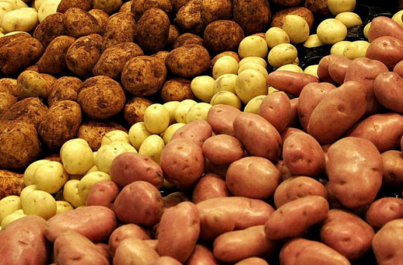 Продается картофель +5 от 10 тонн. Урожай 2017г.