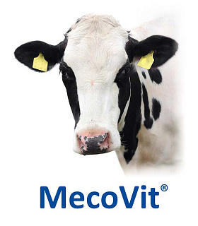MecoVit